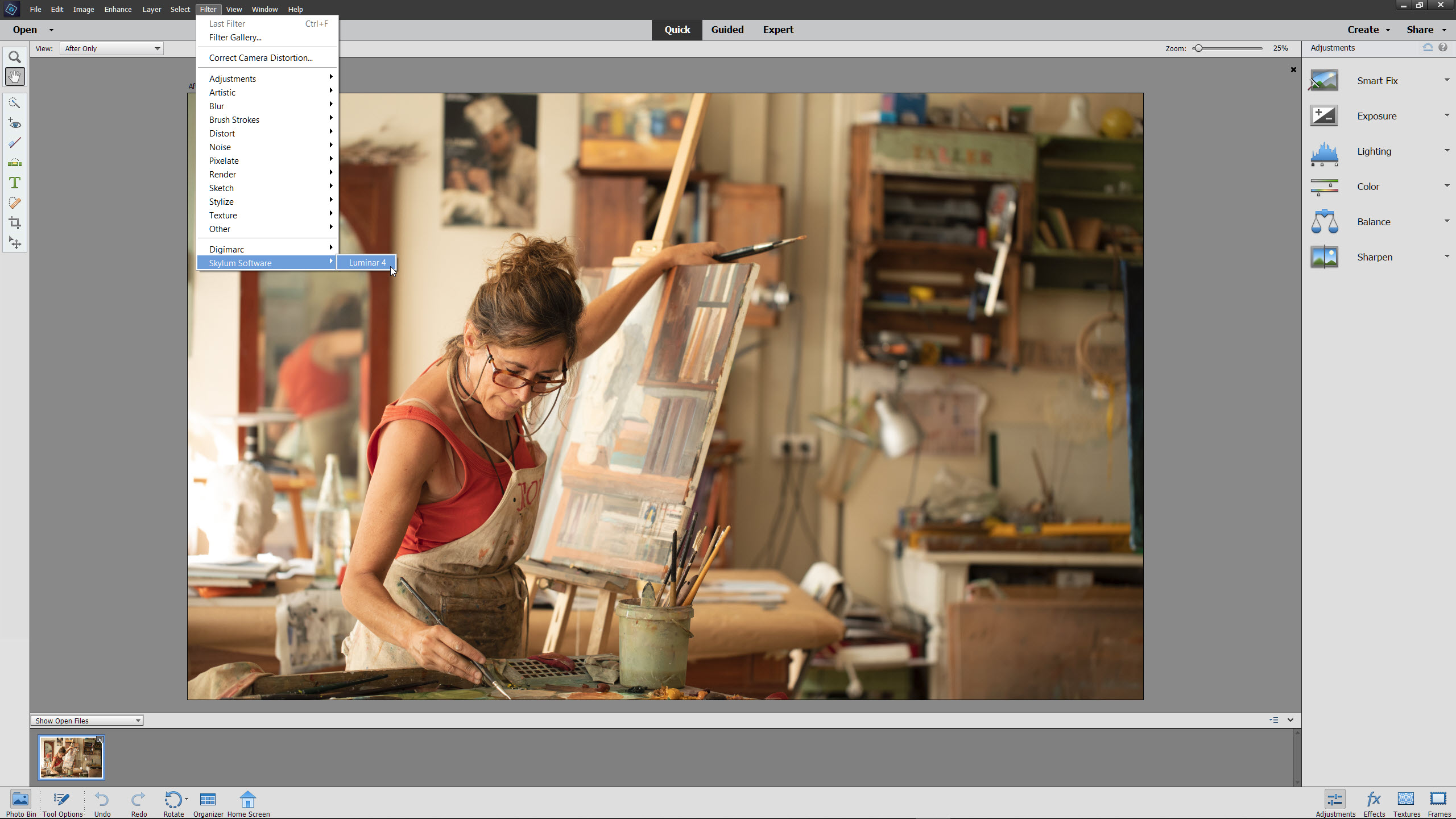download adobe photoshop elements 15 for mac